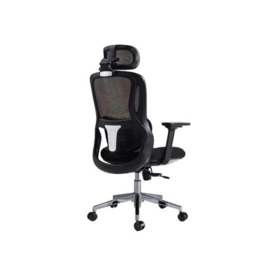 Chairking Ergonomic Chair Black CK05 2