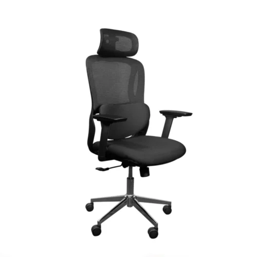 Chairking Ergonomic Chair Black CK05