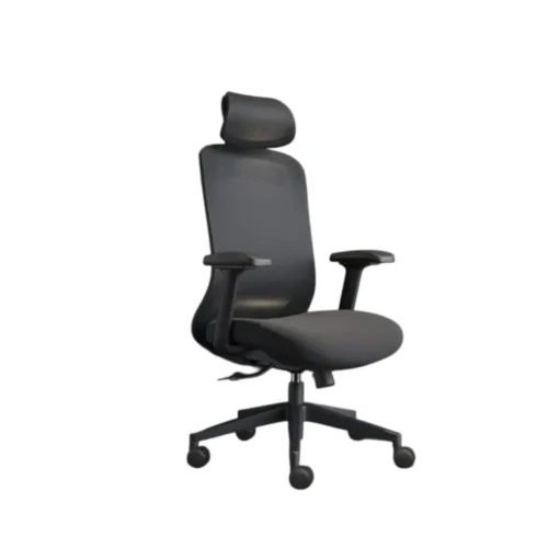 Ergonomic Chair CK 04