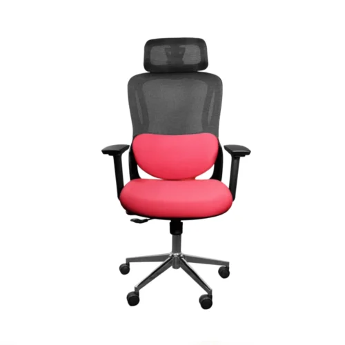 Ergonomic Chair Red CK 05 2