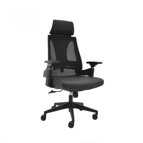 Ergonomic Chair with Adjustable Armrests Black CK13