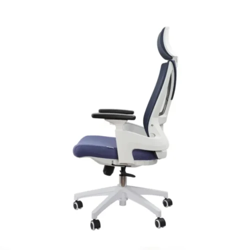 Ergonomic Chair with Adjustable Armrests White CK13