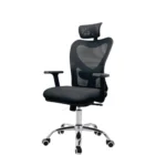 Ergonomic Chair with Adjustable Features CK16