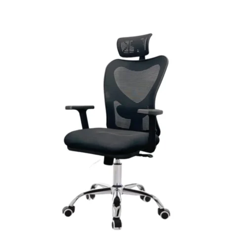 Ergonomic Chair with Adjustable Features CK16 1