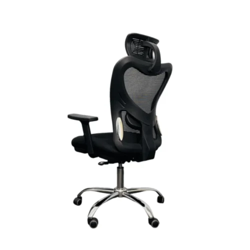 Ergonomic Chair with Adjustable Features CK16 2
