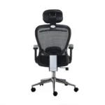 Ergonomic Executive Office Chair CK12