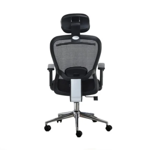 Ergonomic Executive Office Chair CK12 3