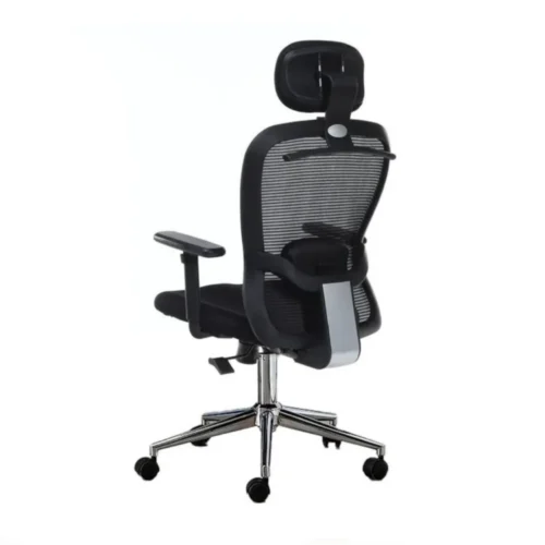 Ergonomic Executive Office Chair CK12 4