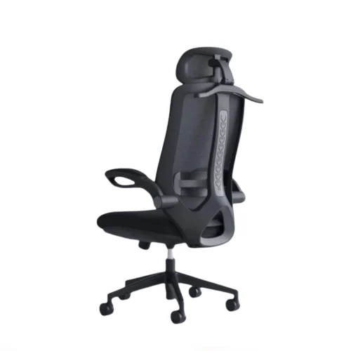Ergonomic Office Chair CK 09 1