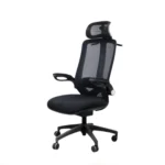 Ergonomic Office Chair CKFC54