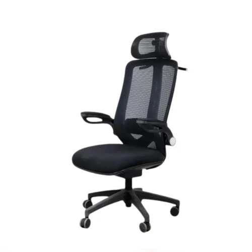 Ergonomic Office Chair CK 09 2