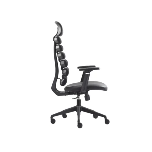 Ergonomic Office Chair CK18 2