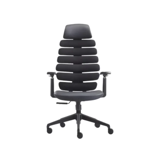 Ergonomic Office Chair CK18