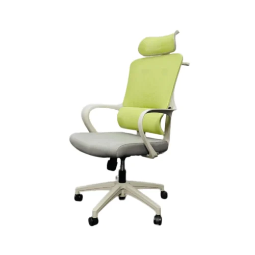 Ergonomic Office Chair with Headrest Green CK10
