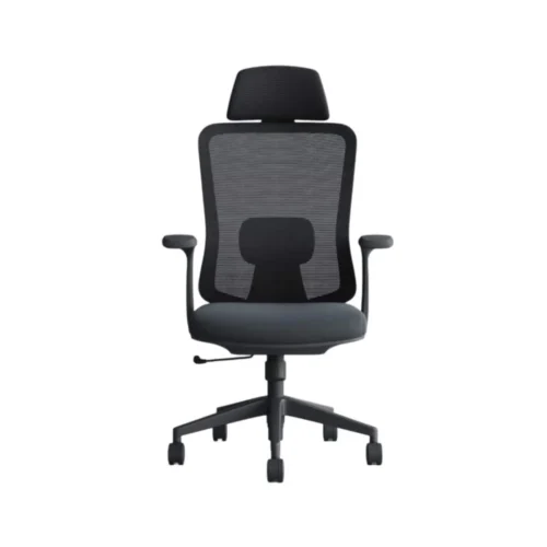 Ergonomic Office Chair with Lumbar Support Black CK 07 1