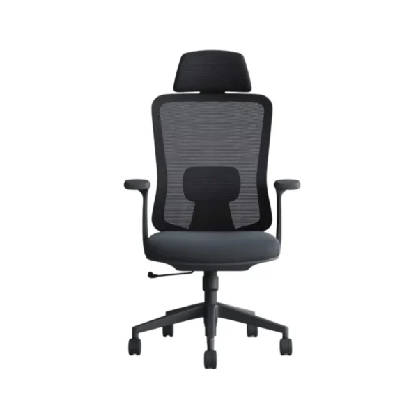 Ergonomic Office Chair with Lumbar Support Black CKFC29
