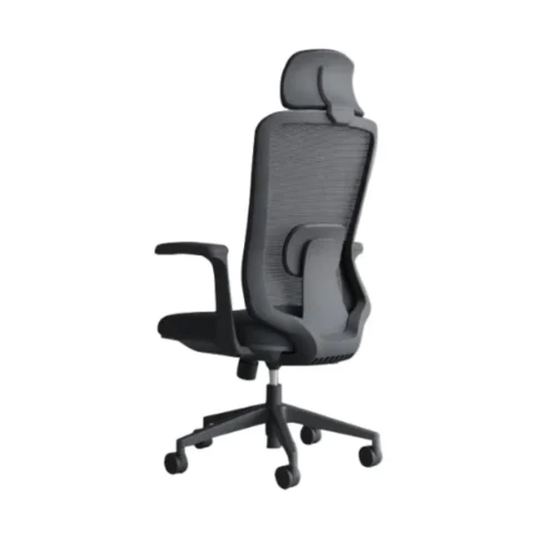 Ergonomic Office Chair with Lumbar Support Black CK 07 2
