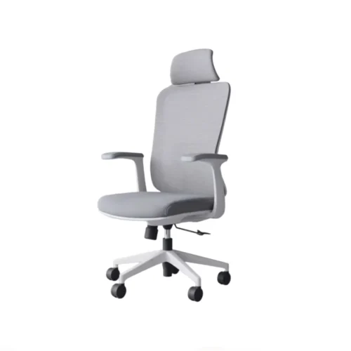 Ergonomic Office Chair with Lumbar Support Grey CK 07 1