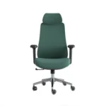 Premium Ergonomic Chair Green CKFC25