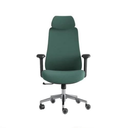 Premium Ergonomic Chair Green CK03