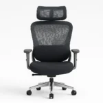 Ergonomic Chair Grey Color Body CKC-505
